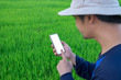 © Thannaree - Agronomist man using Smartphone in Agriculture farm. For Graphics Display screen