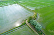 Flooded fields for rice cultivation seen from above