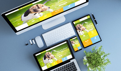 Wall Mural - top view blue devices pet website