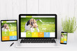 devices on table with responsive pet design