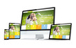 © MclittleStock - mobility devices pet website responsive design