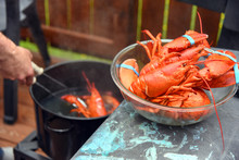 Lobster Boil In Backyard