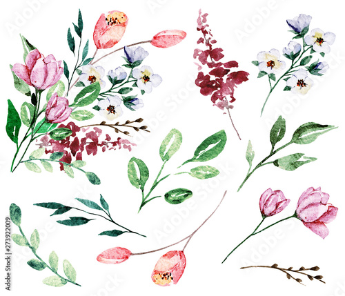 Watercolor flowers and leaf, floral meadow set. Perfectly for print on greeti...