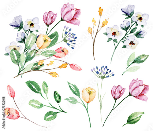Watercolor flowers and leaf, floral meadow set. Perfectly for print on greeti...