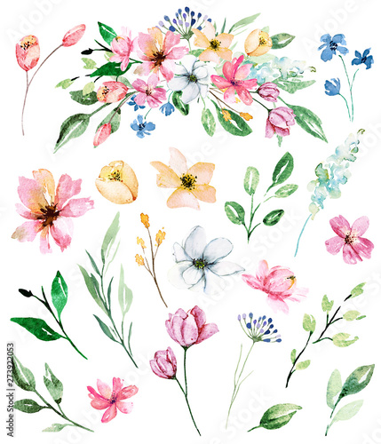 Watercolor flowers and leaf, floral meadow set. Perfectly for print on greeti...