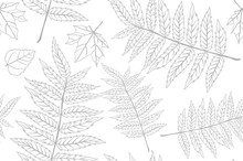 Autumn Pattern Sheet Seamless. Leaves Of The Fern. Pattern For The Fabric. Fern Print. Trend Autumn Pattern. Cloth Shirt Pattern. Vector, Eps 10
