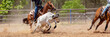 Calf Roping At An Australian Rodeo