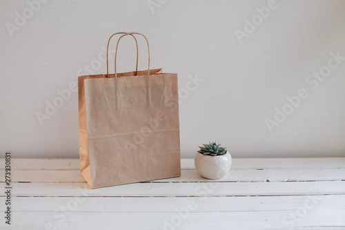 succulent lunch bag