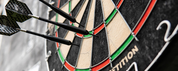 .darts game in detail. darts strategy and rules
