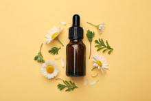 Flat Lay Composition With Chamomile Flowers And Cosmetic Bottle Of Essential Oil On Color Background