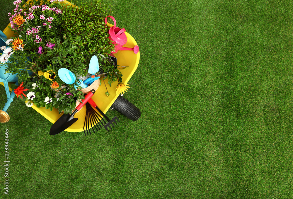 Wheelbarrow with flowers and gardening tools on grass, top view. Space for text - obrazy, fototapety, plakaty 