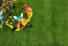 Wheelbarrow With Flowers And Gardening Tools On Grass, Top View. Space For Text