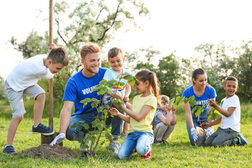 Wall Mural - Kids planting trees with volunteers in park