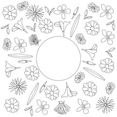 White white flower ornament. Coloring with space for text.