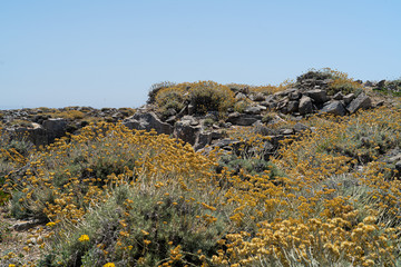 Wall Mural - The island of Favignana