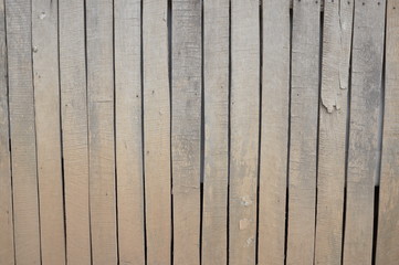 Wall Mural - Old wood fence plank texture and background,