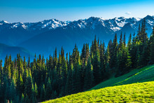 Clear Skies Over Mountains In Olympic National Park In Washington