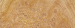 natural burl wood grain texture for banner background