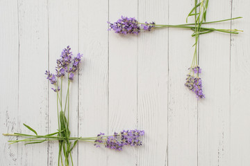 Wall Mural - frame of fresh summer flowers on white wooden background. composition of violet lavender. free space