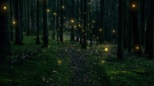 Shiny Fireflies In Mysterious Mossy Dark Green Forest Landscape.