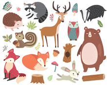 Cute Forest Animal Collections Set