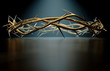 Crown Of Thorns
