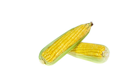 An ear of corn isolated on a white background