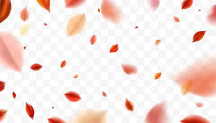 Wall Mural - Fall blurred flying red leaves, autumn nature vector design elements for photo decoration