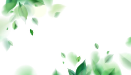 green nature leaves on white background vector isolated elements design