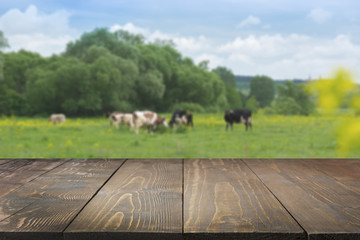 Empty wooden tabletop and blurred rural background of cows on green field and meadow with grass. Display for your product.