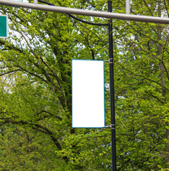 Blank white sign attached to a light pole with trees in the background