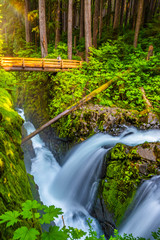 Wall Mural - Beautiful Sunrise Hike to Sol Duc Falls in Hoh Rainforest in Olympic National Park, Washington