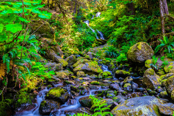 Wall Mural - Beautiful Day at Bunch Falls in Olympic National Park in Washington