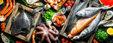 Various fish, octopus, shrimp and crayfish with herbs.