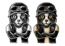 Cat With Crossed Paws Dressed In The Helmet And Glasses. Vector Vintage Engraving