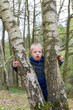 Blond boy with down syndrome,during play in the forest, looks between two big birches.