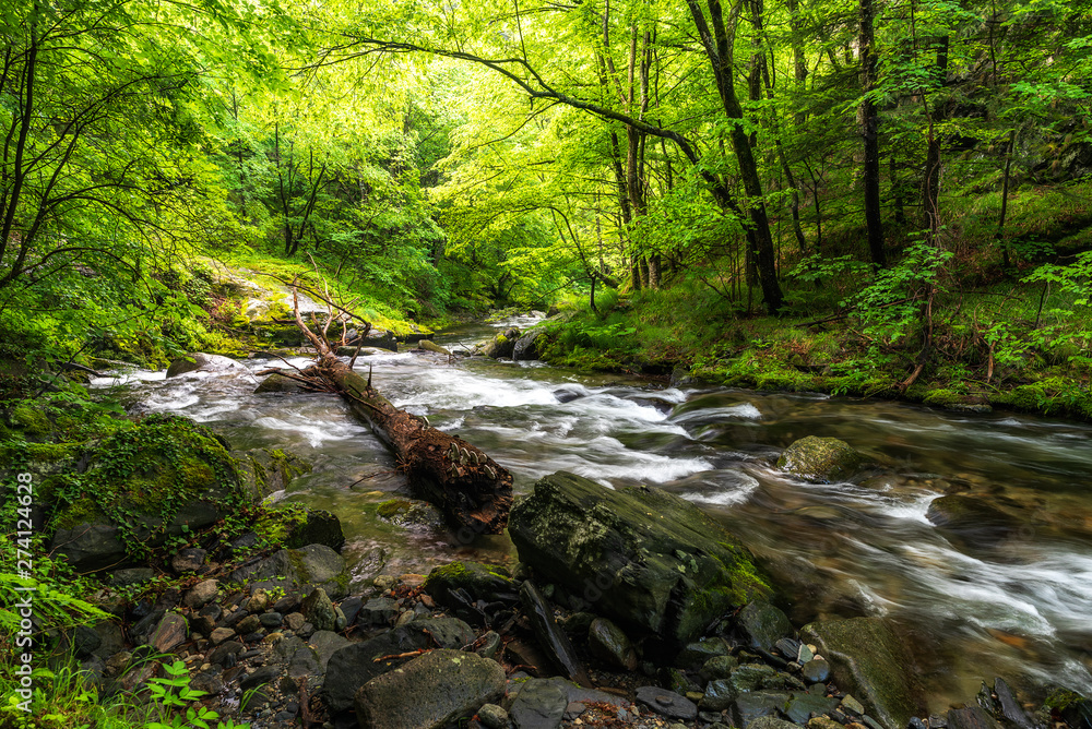 Summer mountain colors of 