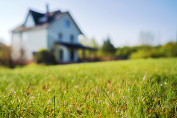 cottage house and young lawn