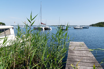 boat wooden pontoon in natural lake of Lacanau in France