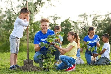 Wall Mural - Kids planting trees with volunteers in park