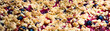 Panoramic view of cake with crumble with fruits macro high resolution