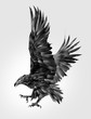 painted bird of prey in monochrome eagle side