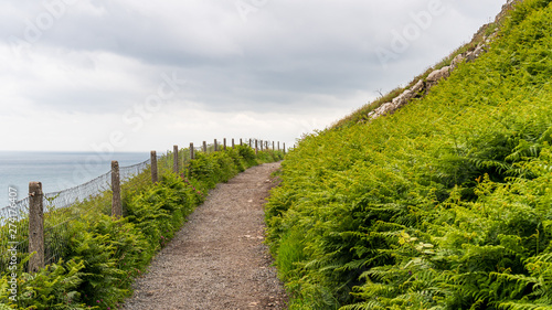 Cuadros en Lienzo The scenic Bray to Greystones Cliff Walk in Wicklow, Ireland