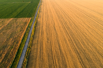 Areal view of crop fields in sunny summer day