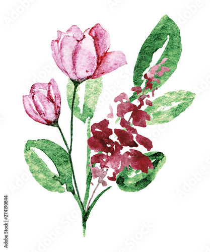 Watercolor flower. Floral design isolated on white background. Hand drawing.