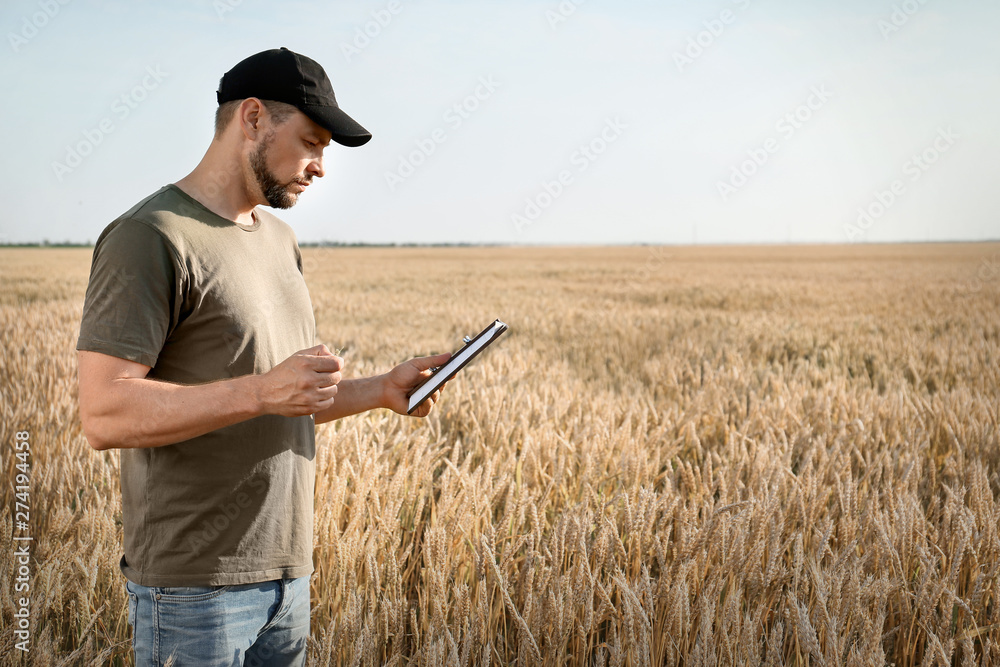 Farmer in field on sunny day