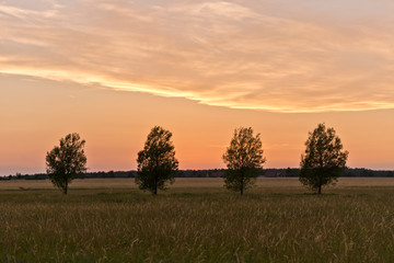 Sunset at Nature Reserve in Schulzendorf, Brandenburg, Germany