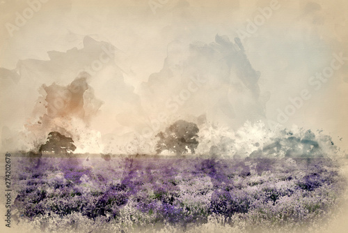 Digital watercolor painting of Beautiful dramatic misty sunrise landscape ove...