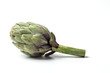Green Artichoke, Edible Flower, Italian Vegetable 