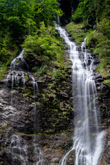 Fotomurales - panorama of high picturesque waterfall in lush green forest landscape